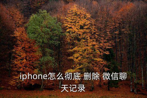 蘋果微信數(shù)據(jù)怎么刪除不了怎么辦啊
