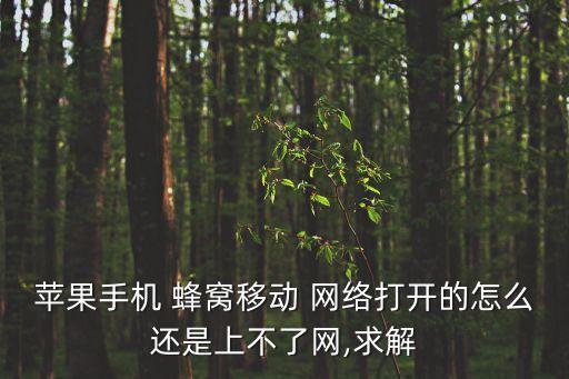 蘋果手機(jī) 蜂窩移動(dòng) 網(wǎng)絡(luò)打開的怎么還是上不了網(wǎng),求解