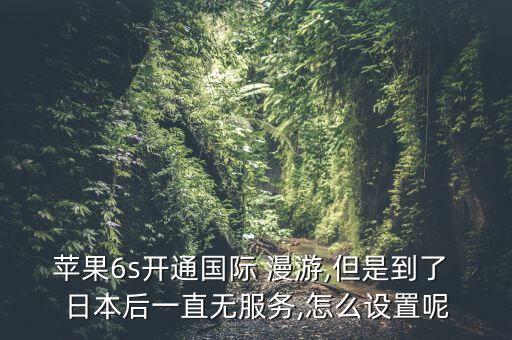 移動(dòng) 日本 數(shù)據(jù)漫游 4G,移動(dòng)數(shù)據(jù)漫游關(guān)閉還是開啟