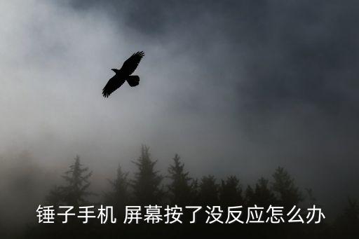  錘子手機(jī) 屏幕按了沒反應(yīng)怎么辦