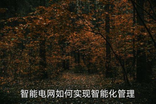 彩訊電力大數(shù)據(jù)解決方案