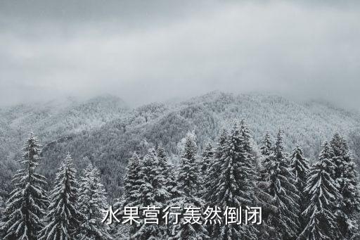 水果 o2o 數(shù)據(jù),O2O數(shù)據(jù)看板