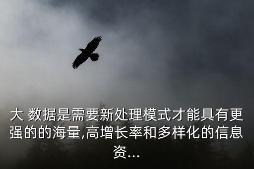 大數(shù)據(jù) 資產(chǎn)