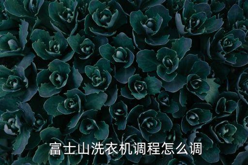 富士山全自動E1,海爾全自動洗衣機故障碼:進水超時排水慢