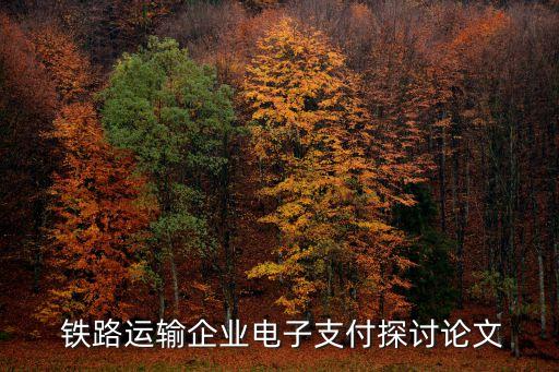  鐵路運(yùn)輸企業(yè)電子支付探討論文