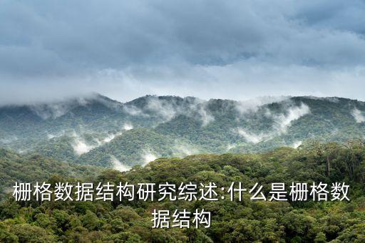 柵格數(shù)據(jù)結構研究綜述:什么是柵格數(shù)據(jù)結構