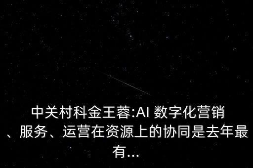  中關(guān)村科金王蓉:AI 數(shù)字化營銷、服務(wù)、運(yùn)營在資源上的協(xié)同是去年最有...