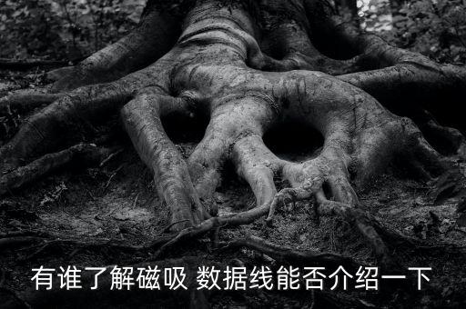 有誰了解磁吸 數(shù)據(jù)線能否介紹一下
