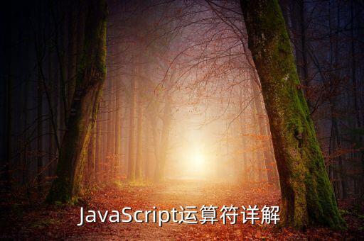 JavaScript運算符詳解