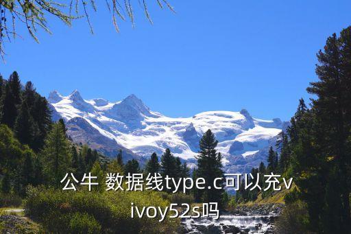  公牛 數(shù)據(jù)線type.c可以充vivoy52s嗎
