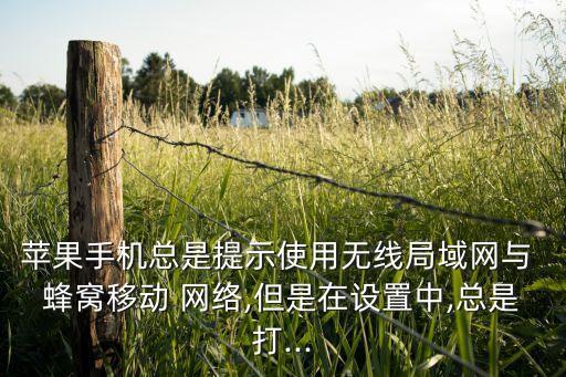 蘋果手機(jī)總是提示使用無(wú)線局域網(wǎng)與 蜂窩移動(dòng) 網(wǎng)絡(luò),但是在設(shè)置中,總是打...