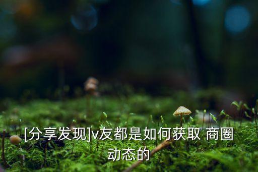 [分享發(fā)現(xiàn)]v友都是如何獲取 商圈動態(tài)的