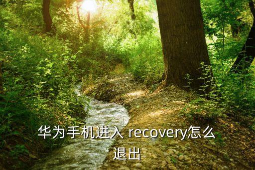 華為手機進入 recovery怎么退出