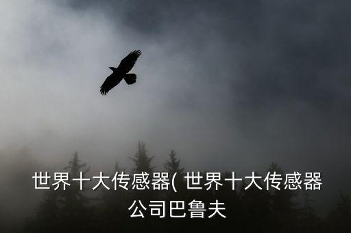  世界十大傳感器( 世界十大傳感器 公司巴魯夫