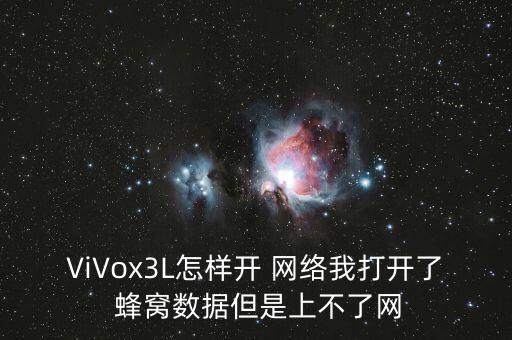 ViVox3L怎樣開 網(wǎng)絡(luò)我打開了 蜂窩數(shù)據(jù)但是上不了網(wǎng)