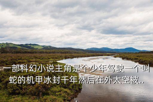 一部科幻小說(shuō)主角是個(gè)少年駕駛一個(gè)叫蛇的機(jī)甲冰封千年然后在外太空被...