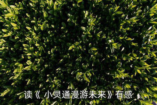 讀《 小靈通漫游未來(lái)》有感