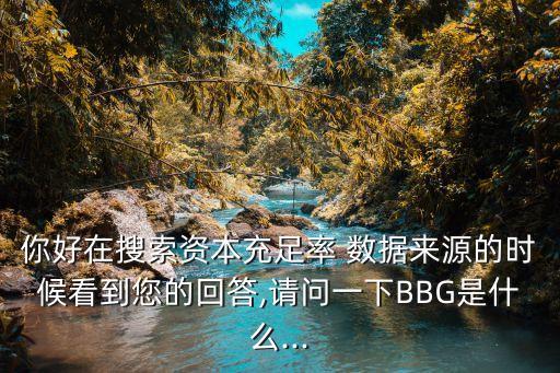 你好在搜索資本充足率 數(shù)據(jù)來(lái)源的時(shí)候看到您的回答,請(qǐng)問(wèn)一下BBG是什么...