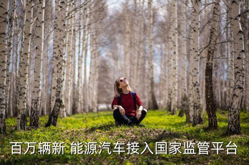 百萬輛新 能源汽車接入國家監(jiān)管平臺(tái)