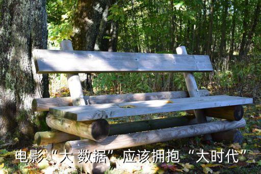 電影“大 數(shù)據(jù)”應(yīng)該擁抱“大時代”