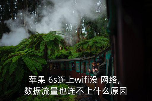 蘋果 6s連上wifi沒 網(wǎng)絡(luò), 數(shù)據(jù)流量也連不上什么原因