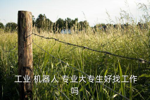  工業(yè) 機(jī)器人 專業(yè)大專生好找工作嗎