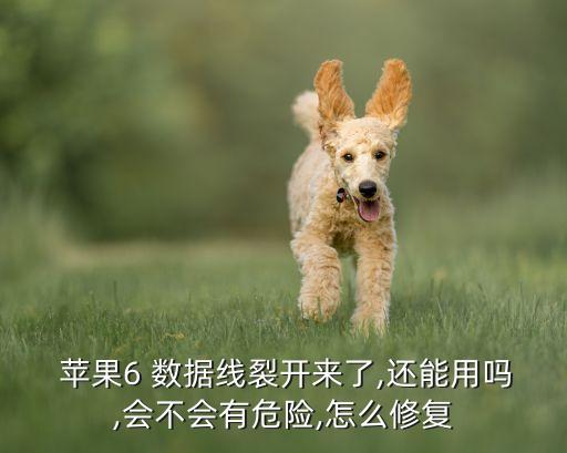  蘋(píng)果6 數(shù)據(jù)線裂開(kāi)來(lái)了,還能用嗎,會(huì)不會(huì)有危險(xiǎn),怎么修復(fù)