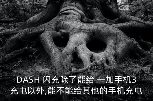 DASH 閃充除了能給 一加手機3充電以外,能不能給其他的手機充電