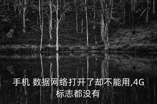 手機(jī) 數(shù)據(jù)網(wǎng)絡(luò)打開了卻不能用,4G標(biāo)志都沒有