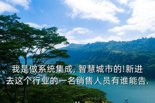 我是做系統(tǒng)集成, 智慧城市的!新進去這個行業(yè)的一名銷售人員有誰能告...