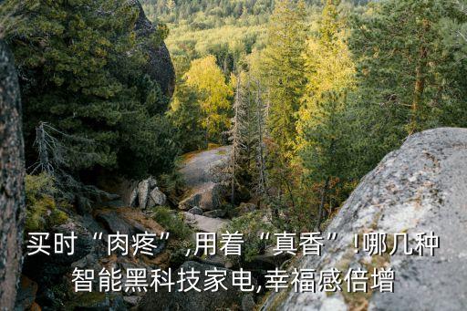 買時(shí)“肉疼”,用著“真香”!哪幾種智能黑科技家電,幸福感倍增