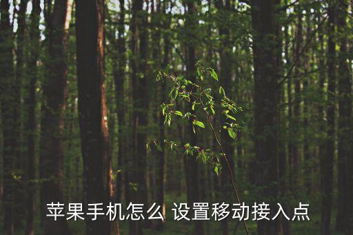  蘋果手機(jī)怎么 設(shè)置移動(dòng)接入點(diǎn)