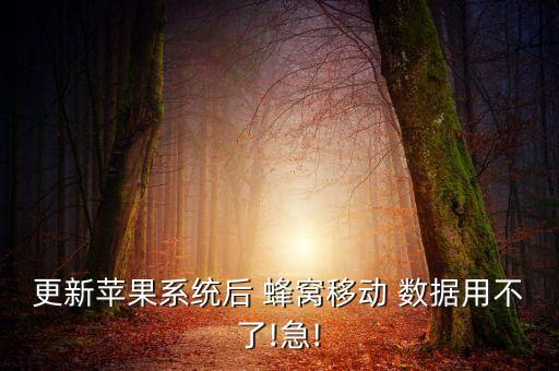ios的蜂窩移動(dòng)數(shù)據(jù)嗎
