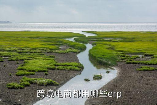  跨境電商都用哪些erp
