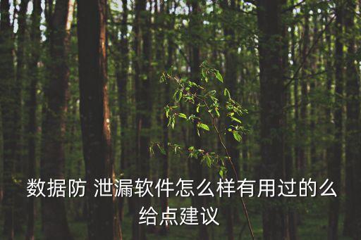  數(shù)據(jù)防 泄漏軟件怎么樣有用過的么給點建議