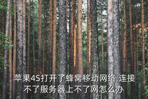 蘋果4s老是數(shù)據(jù)流量鏈接不起,蘋果12數(shù)據(jù)流量怎么老是會沒有的