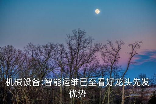 機(jī)械設(shè)備:智能運(yùn)維已至看好龍頭先發(fā)優(yōu)勢