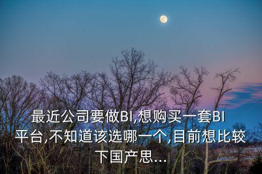 最近公司要做BI,想購買一套BI 平臺,不知道該選哪一個,目前想比較下國產思...