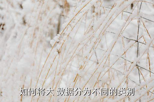 如何將大 數(shù)據(jù)分為不同的類別