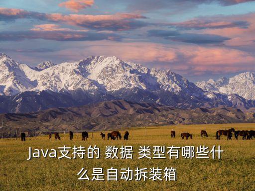 接口是一種數(shù)據(jù)類型,java接口數(shù)據(jù)類型