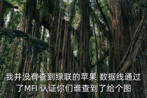 我并沒有查到綠聯(lián)的蘋果 數(shù)據(jù)線通過了MFI 認(rèn)證你們誰查到了給個(gè)圖