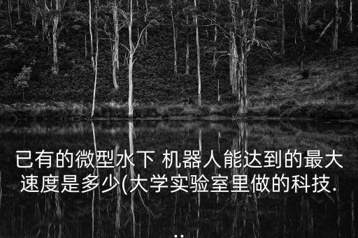 已有的微型水下 機(jī)器人能達(dá)到的最大速度是多少(大學(xué)實(shí)驗(yàn)室里做的科技...