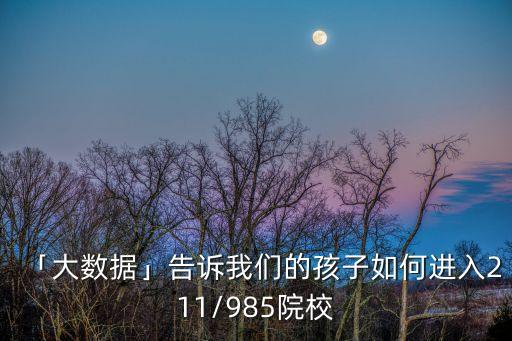小學(xué)生大數(shù)據(jù)分析
