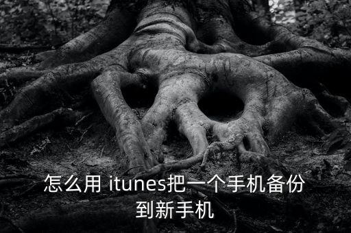 怎么用 itunes把一個(gè)手機(jī)備份到新手機(jī)