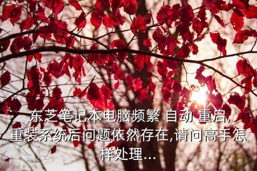 東芝l526自動重啟,東芝電視自動重啟怎么回事