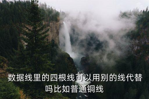 諾基亞n95 的數(shù)據(jù)線可以用其他的代替嗎