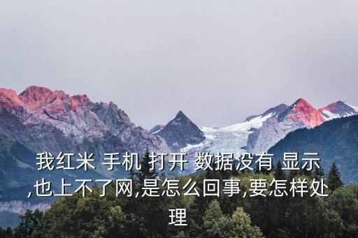 我紅米 手機(jī) 打開 數(shù)據(jù)沒有 顯示,也上不了網(wǎng),是怎么回事,要怎樣處理