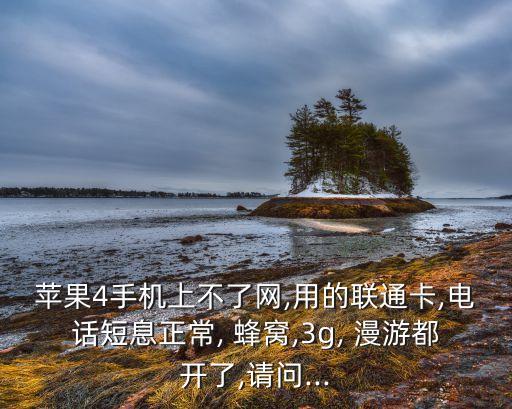 蘋(píng)果4手機(jī)上不了網(wǎng),用的聯(lián)通卡,電話短息正常, 蜂窩,3g, 漫游都開(kāi)了,請(qǐng)問(wèn)...