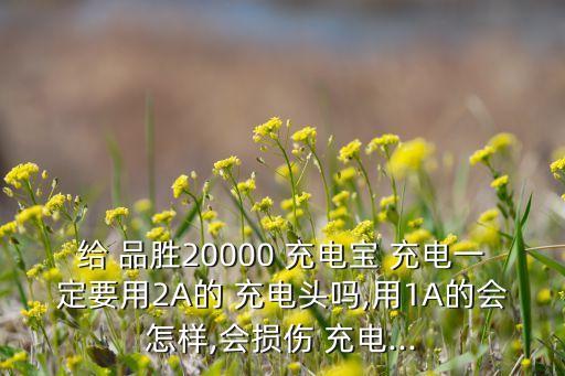 給 品勝20000 充電寶 充電一定要用2A的 充電頭嗎,用1A的會怎樣,會損傷 充電...