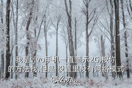 我是vivo手機一直顯示2G,按你的方法找,但是 設置里沒有網(wǎng)絡模式怎么辦...